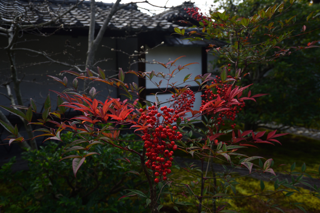 201210c建仁寺15