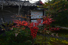 201210c建仁寺15