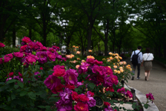 220515b靭公園04News