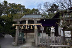 210106f厳島神社46