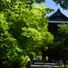 240521f南禅寺25