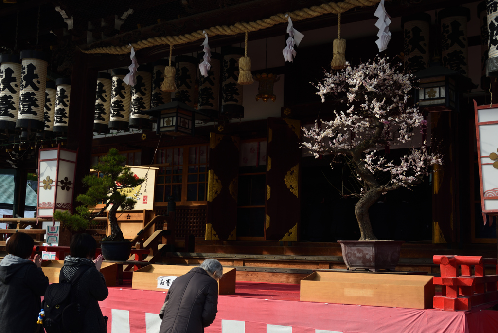 190302b大阪天満宮05