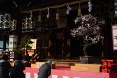 190302b大阪天満宮05