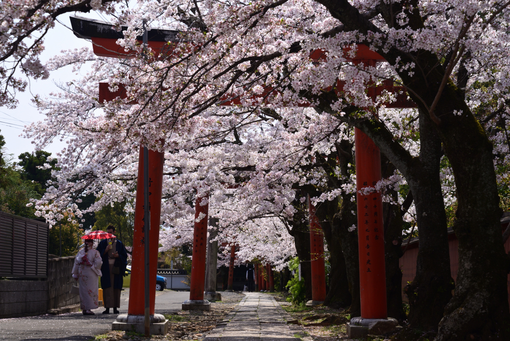 230330d竹中稲荷20