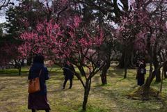 200223c京都御苑30