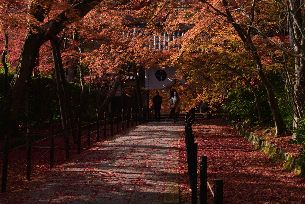 211203a光明寺51