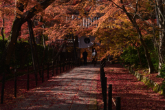 211203a光明寺51
