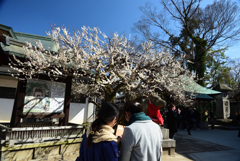 190223a北野天満宮72