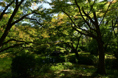 211002京都植物園29
