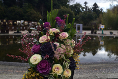 230117a京都植物園32