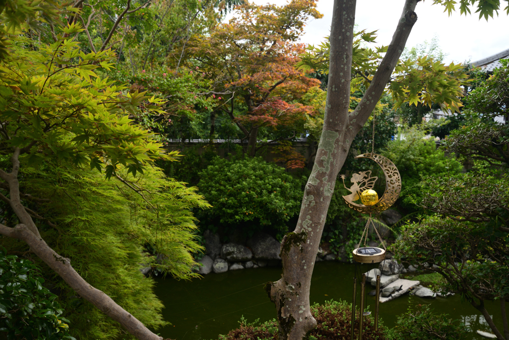 220921cおふさ観音17