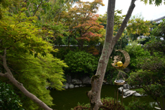 220921cおふさ観音17