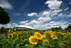 200810馬見丘陵公園08