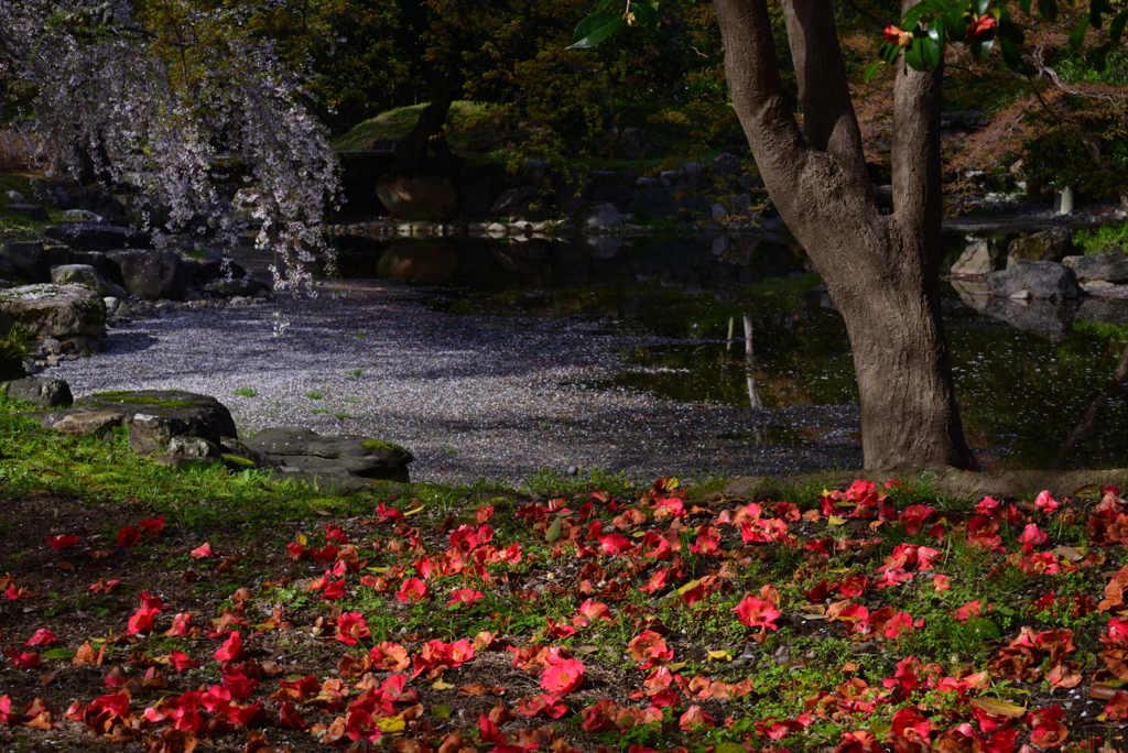 230327a京都御苑53