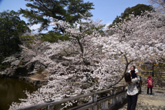 220330b奈良公園56