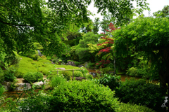 250606妙心寺退蔵院41