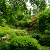 250606妙心寺退蔵院41