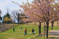 200318馬見丘陵公園38