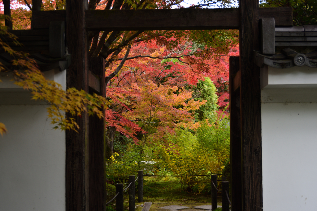 201113南禅寺06天授庵