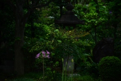 170922c市比賣神社43