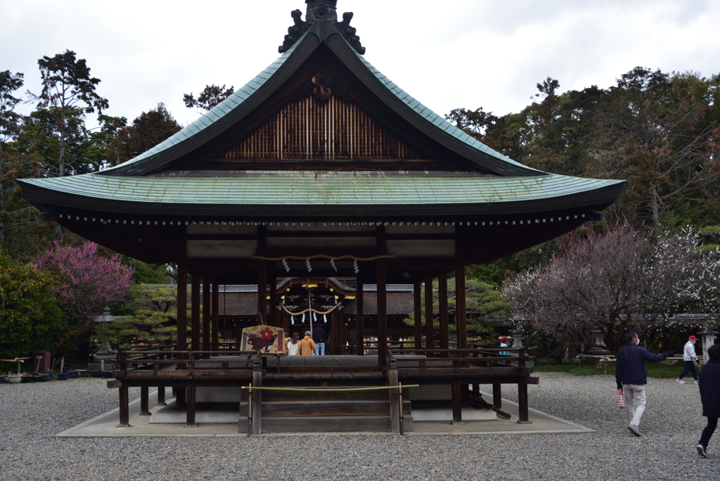 210223a梅宮大社02