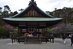 210223a梅宮大社02