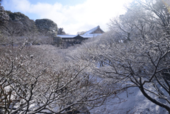 250208a東福寺08