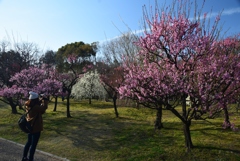 180302長居植物園52