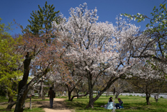 220405a京都御苑20