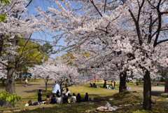 190408b膳所城跡09