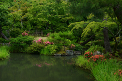 230604a等持院35