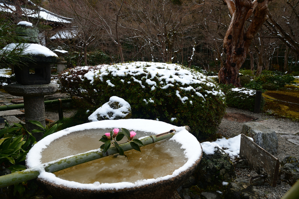 240125b圓光寺47