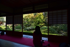181118d泉涌寺雲龍院11