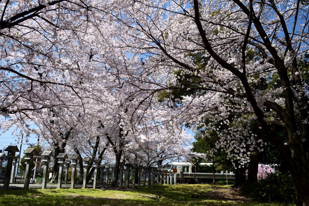180330a久世神社24+