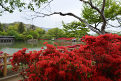 230418a長岡天満宮20