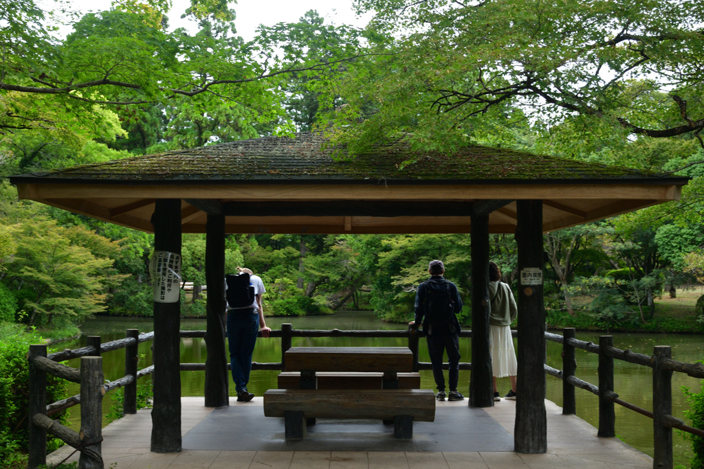 251003京都植物園33