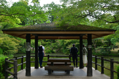 251003京都植物園33