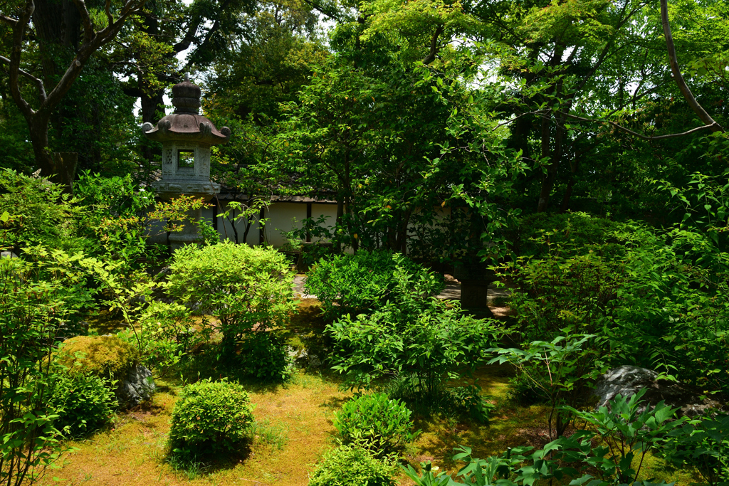 250606妙心寺退蔵院04