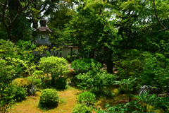 250606妙心寺退蔵院04