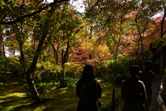 211119b祇王寺36