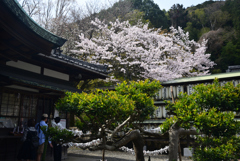240402c大石神社17