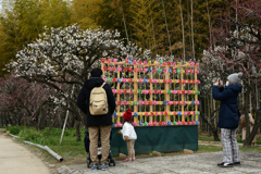 230226万博公園26