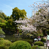 250412四天王寺05