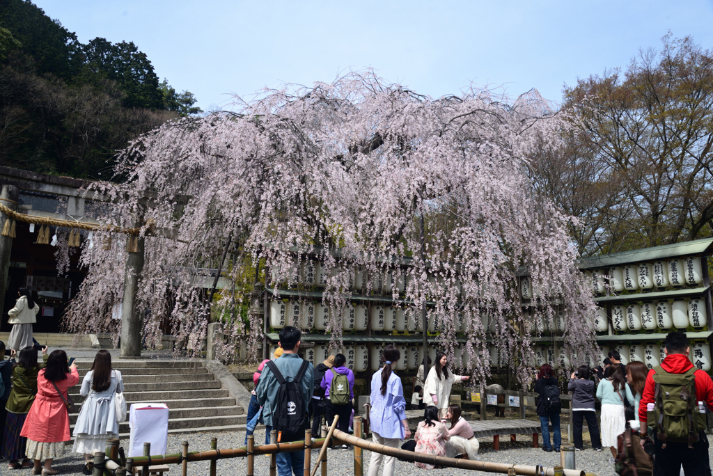 240402c大石神社16