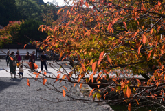 241112b南禅寺17