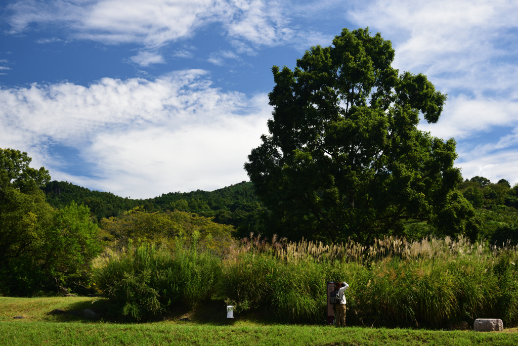 190925a明日香村岩戸02