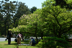 250426b京都f御苑05