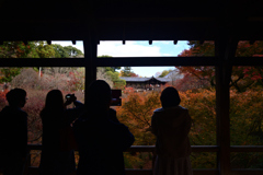 211202b東福寺55