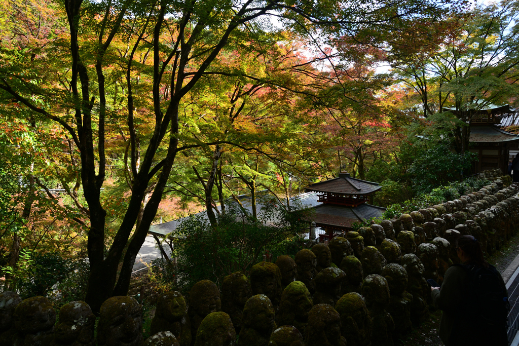 231114d愛宕念仏寺25