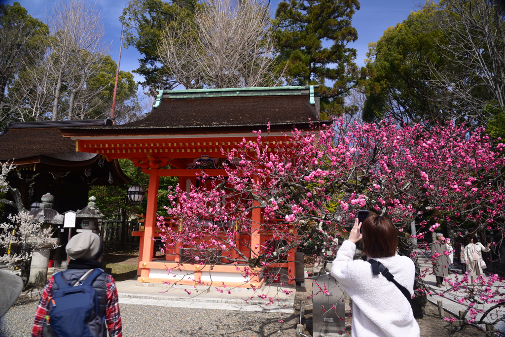 250314a北野天満宮33